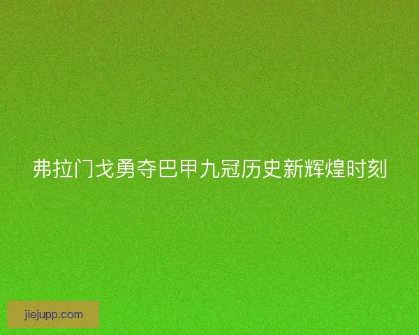 弗拉门戈勇夺巴甲九冠历史新辉煌时刻 弗拉门戈勇夺巴甲九冠历史新辉煌时刻