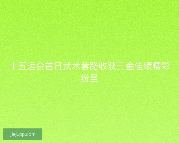十五运会首日武术套路收获三金佳绩精彩纷呈 十五运会首日武术套路收获三金佳绩精彩纷呈